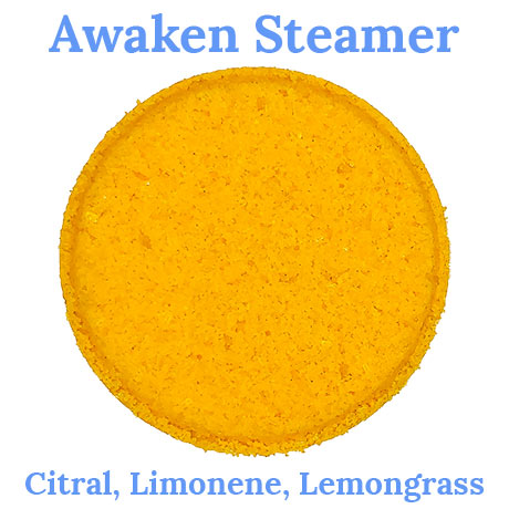 Aromatherapy Shower Steamers