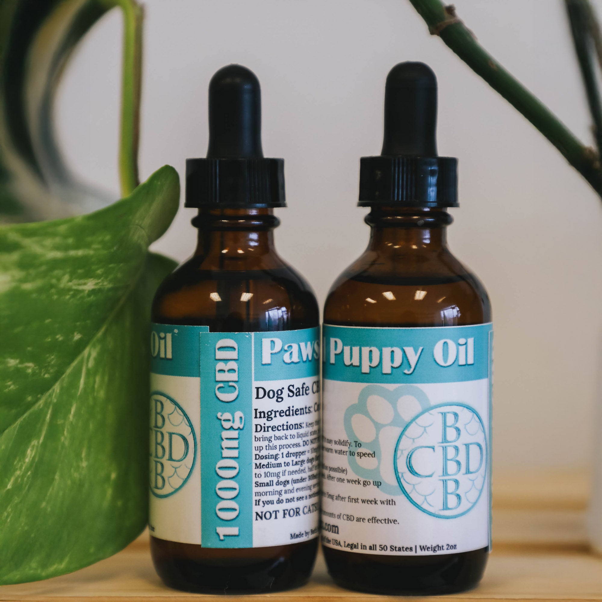 Paws Approved CBD Oil – Bath By Bex